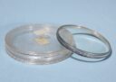 Canon 58mm UV 1x Filter * Genuine Canon * Near Mint